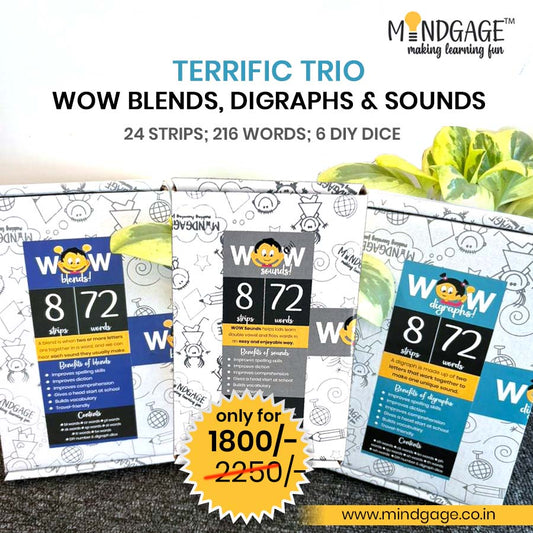TERRIFIC TRIO: wow BLENDS, DIGRAPHS & SOUNDS